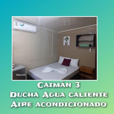 Apartamentos Caiman 3 تورتوجويرو المظهر الخارجي الصورة